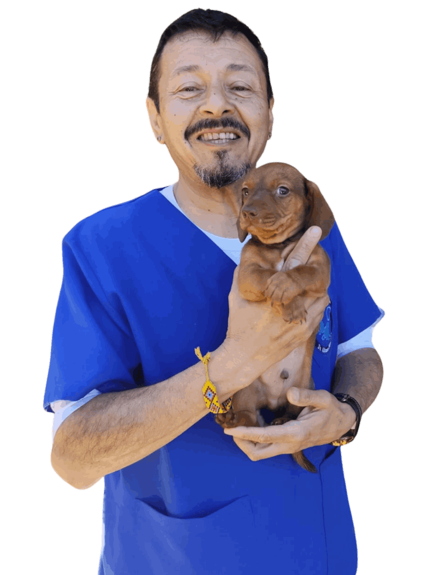 Clínica Veterinaria Argandoña
